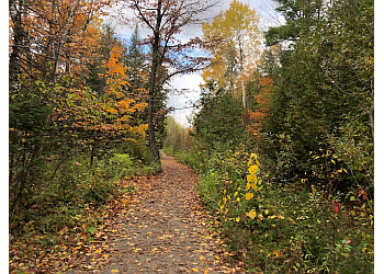 Gatineau hiking trail Parc de la Forêt-Boucher