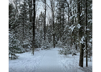 Drummondville hiking trail Réserve naturelle du Boisé-de-la-Marconi