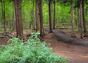 Drummondville hiking trail Réserve naturelle du Boisé-de-la-Marconi