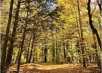 Mirabel Sentiers De Randonnée Parc du Domaine Vert