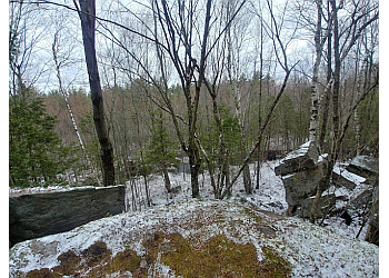 Gatineau hiking trail Parc du Lac-Beauchamp
