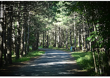 Montreal Sentiers De Randonnée Parc national du Mont-Saint-Bruno