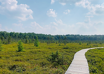 Parc écoforestier de Johnville Parc écoforestier de Johnville - Sherbrooke, QC Sentiers De Randonnée - Outdoor Experience Image