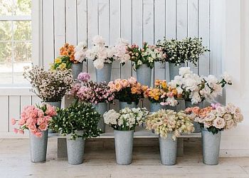 Repentigny Fleuristes Parfum de Fleurs