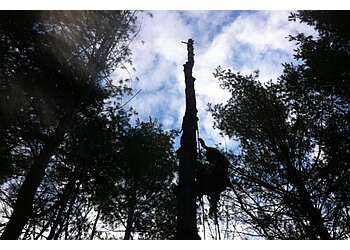 Milton Services d'arboriculteur Parker Tree Care Ltd.