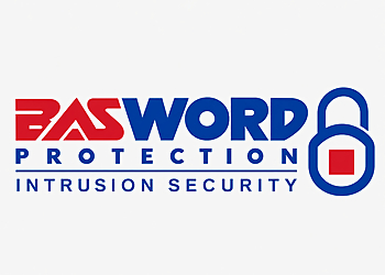 PasWord Protection PasWord Protection - Hamilton, ON Security Systems - Professional Highlights