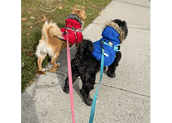 Brampton dog walker Passionate 4 Paws Professional Pet Care Inc.