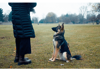 Peterborough dog trainer Paus-n-Train