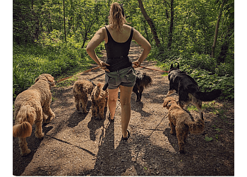 Hamilton dog walker Pawfect Strollers image 1