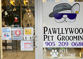 Pawllywood Pet Grooming Pawllywood Pet Grooming - Markham, ON Pet Grooming - Business Exterior Image