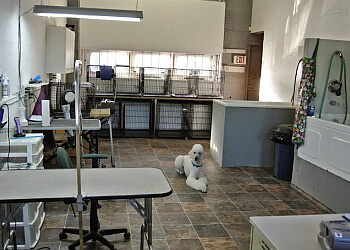 Maple Ridge pet grooming Pawparazzi Dog Grooming