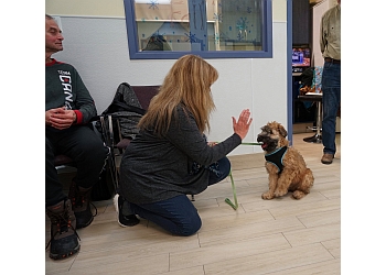Oshawa dog trainer Paws-Itive Puppies