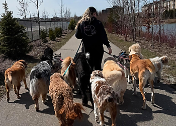 Milton dog walker Paws & Strides