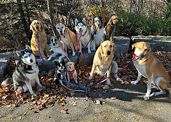 Milton dog walker Paws & Strides