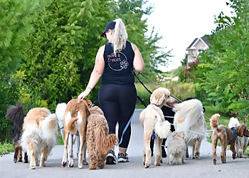 Paws & Strides - Milton, ON Dog Walkers - Professional Highlights