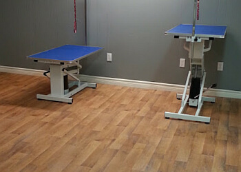 St Catharines Salons de Toilettage Pour Animaux De Compagnie Paws and Claws