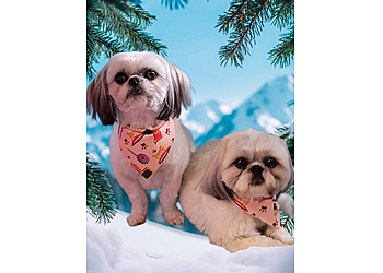 Airdrie pet grooming Paws and Purrrls Dog Grooming