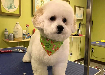 Ajax Salons de Toilettage Pour Animaux De Compagnie Pawsh Pet Grooming