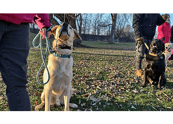 Pawsitive Dog Training Niagara