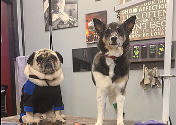 Victoria pet grooming Pawsitive Pet Grooming