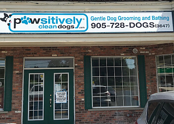 Pawsitively Clean Dogs Inc.