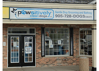 Pawsitively Clean Dogs Inc.