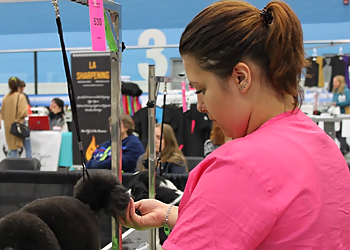 Pawsitively Perfect - Medicine Hat, AB Pet Grooming - Professional Highlights