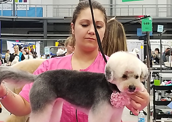 Pawsitively Perfect Pawsitively Perfect - Medicine Hat, AB Pet Grooming - Service Image