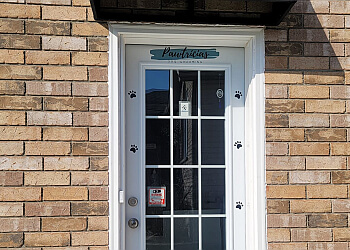 Barrie pet grooming Pawtricias Dog Grooming