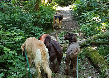 Vancouver dog walker Pawz Unleashed