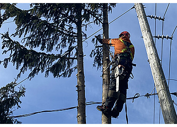 Saint Hyacinthe Services d'arboriculteur Paysagiste Proland