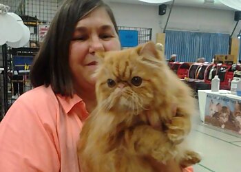 Saanich pet grooming Peace At Home Pet Care & Cat Grooming