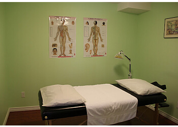 3 Best Acupuncture In Guelph, ON - Expert Recommendations