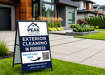 Delta window cleaner Peak Home Care