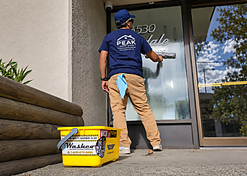 Peak Home Care Delta window cleaner Peak Home Care