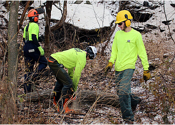 North Bay tree service Pearson Tree Service