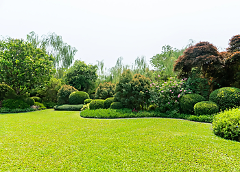 Pelouse NaturePro - Gatineau, QC Lawn Care Services - Service Highlights