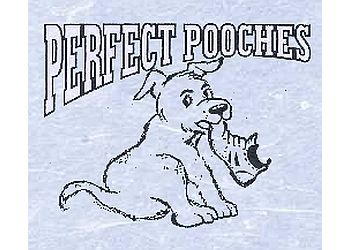 Lethbridge dog trainer Perfect Pooches Dog Training & Grooming