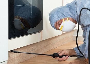 Markham Services d'extermination de parasites Pest Control Markham Exterminator