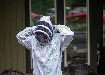 Maple Ridge pest control Pest Detective Maple Ridge