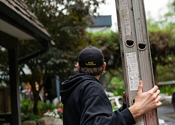 New Westminster pest control Pest Detective New Westminster