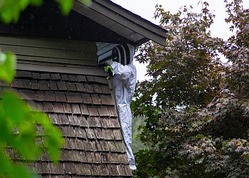 North Vancouver pest control Pest Detective North Vancouver