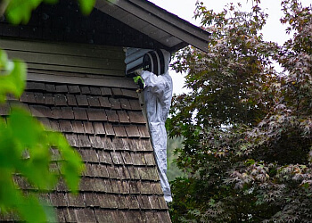 Saanich pest control Pest Detective Saanich