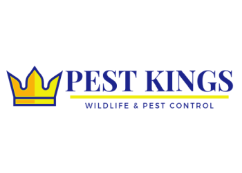 Pest Kings Wildlife & Pest Control