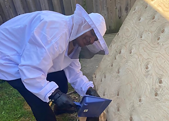 Milton pest control Pest Stop Inc.