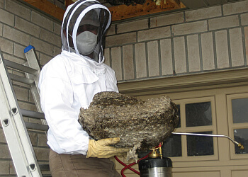 Toronto pest control Pestend Pest Control