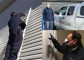 Calgary animal removal Pestica Green Pest Control