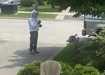 Brampton pest control Pestisect Pest Control