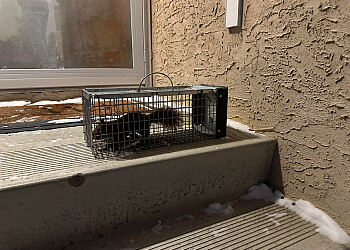 Sherwood Park Services d'extermination de parasites Pestlink Pest Control Sherwood Park