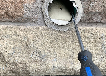 Whitby Services d'extermination de parasites Pestzone Pest Control